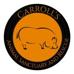 Carol's Animal Sanctuary & Rescue