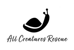 all-creatures-rescue-logo-full